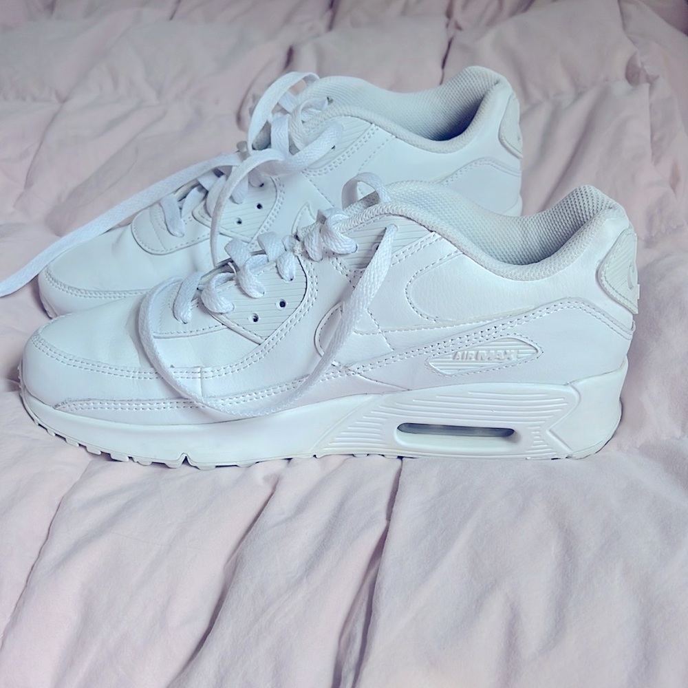 Mens Nike Air Max 90 shoes